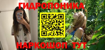 spice Тверь