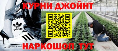Альфа ПВП Тара