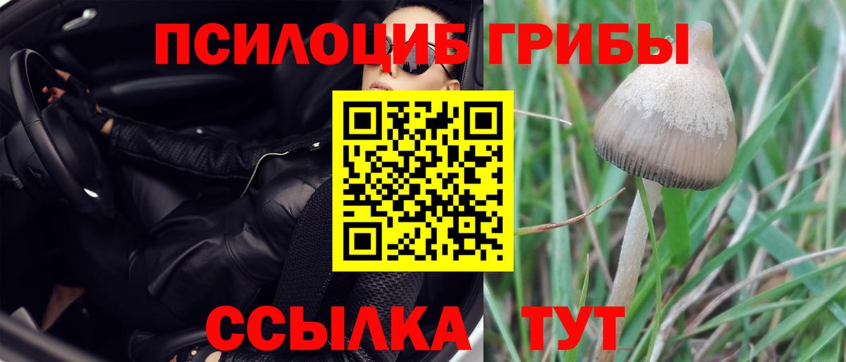 Псилоцибиновые грибы мухоморы  Галлюциногенные грибы Magic Shrooms  Вход с VPN  Ачхой-Мартан 
